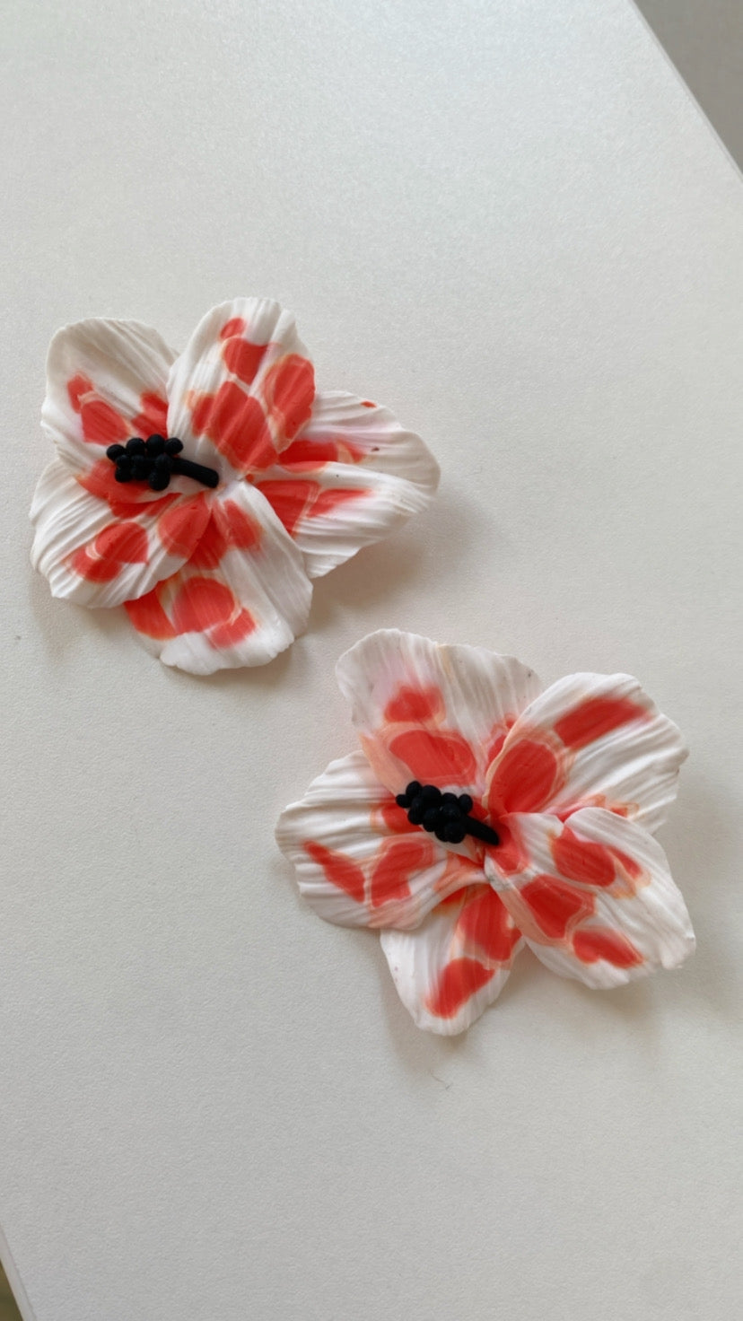Hibiskus Hybrid