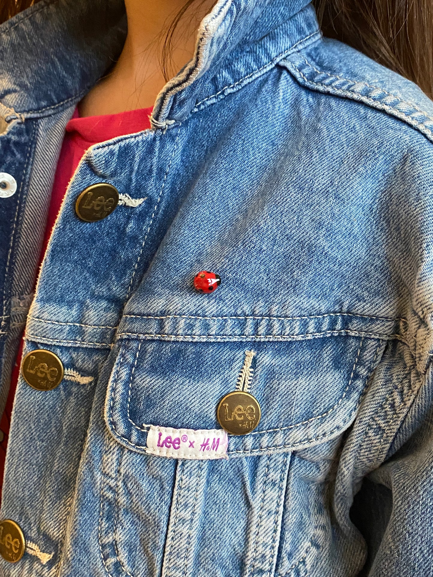 Marienkäfer 🐞 Pinstecker