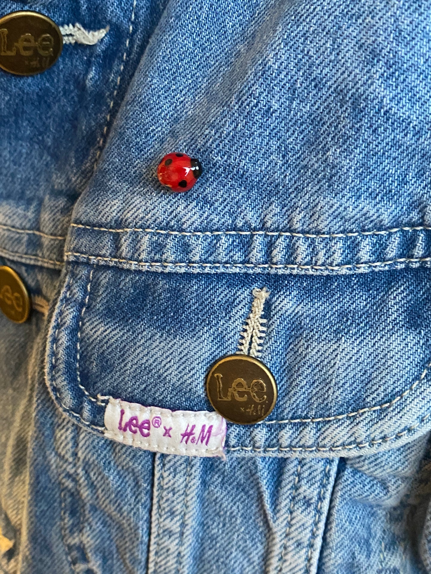 Marienkäfer 🐞 Pinstecker