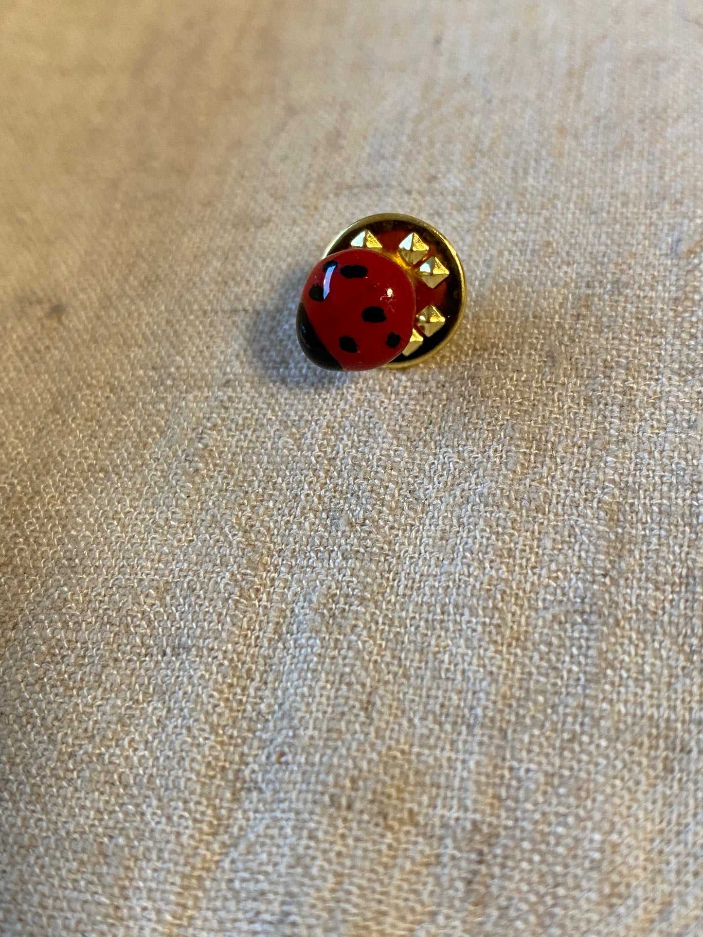 Marienkäfer 🐞 Pinstecker